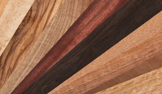 Los tipos de madera que más se utilizan para interior y exterior