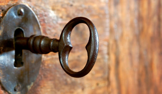 Los escudos de seguridad, cuales son y sus comparativas