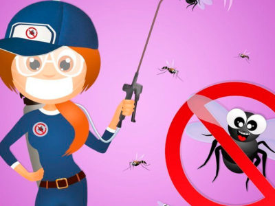 ¿Cómo prevenir a las moscas en la vivienda?