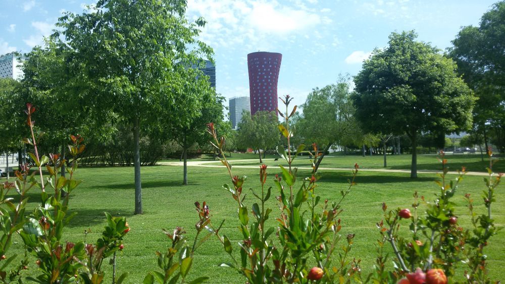 FCC Medio Ambiente renueva el contrato de mantenimiento de zonas verdes de L?Hospitalet de Llobregat