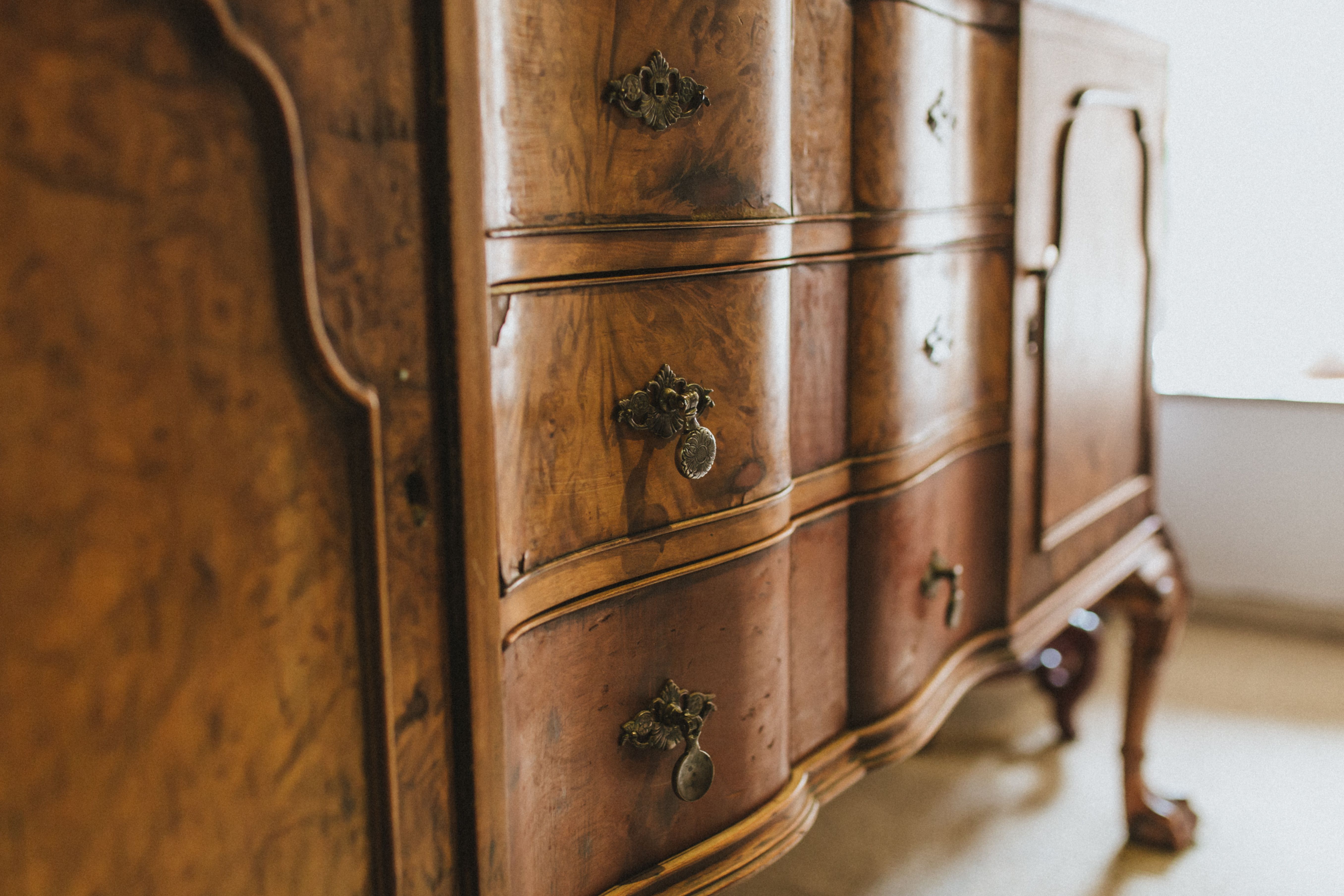 Rentokil Initial: Muebles de segunda mano, un mercado que no se libra de las plagas de la madera