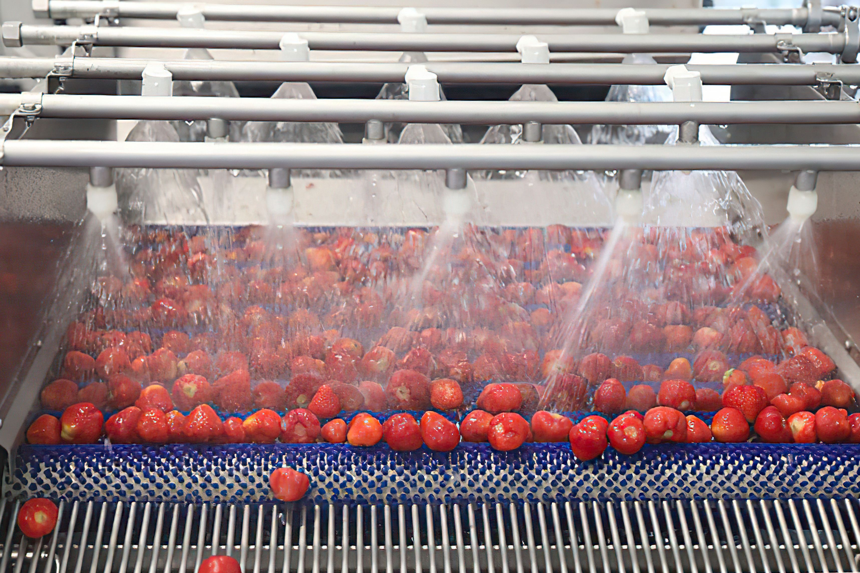 Aquactiva Solutions se adhiere al proyecto PERTE Agroalimentario EcoFood2023 y busca partners para unirse a esta iniciativa innovadora