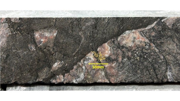 Nuevo descubrimiento: Goldflare obtiene 15G/t en 7 metros en el proyecto Goldfields