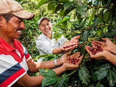 Oikocredit apuesta por la capacitación para asegurar el futuro del sector cafetero