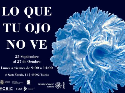 La exposición ‘Lo que tu ojo no ve’, en la demarcación de Toledo del COACM