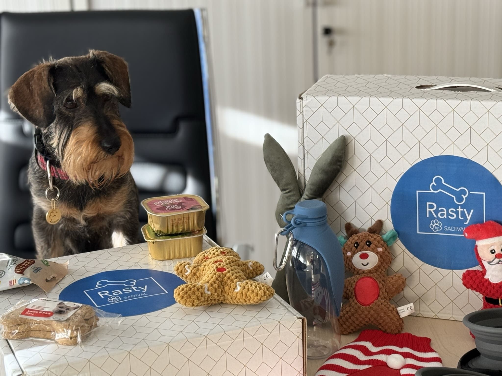 Sadival lanza la primera cesta de Navidad para perros