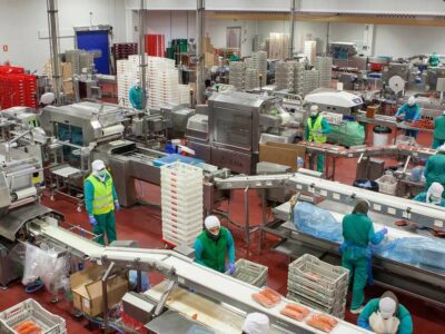 Emcesa alcanza los 60 millones de euros de facturación en 2024