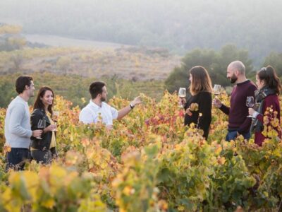 Bodegas Obergo, frescura y elegancia en los vinos blancos del Somontano