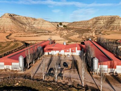 Oviaragón instalará un multiproyecto fotovoltaico con 12 ubicaciones en todo Aragón de la mano de y Tú