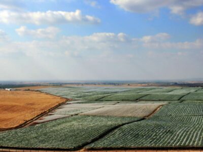 Vale da Rosa relanza su actividad tras la aprobación de su plan de recuperación