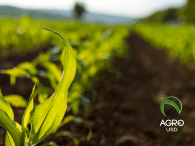 AgroUSD: la stablecoin respaldada por el campo que transforma la inclusión financiera rural