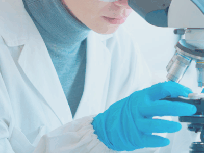 Conejos, clave en avances médicos: investigación ética impulsa la salud humana