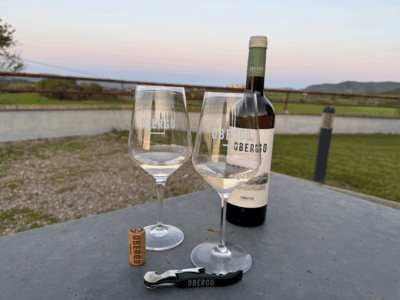 Bodegas Obergo participa en el Festival del Vino Somontano 2025 con nuevas propuestas y ediciones limitadas