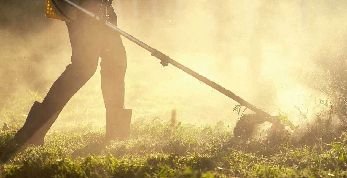 ¿Qué tipos de desbroce de fincas existen?