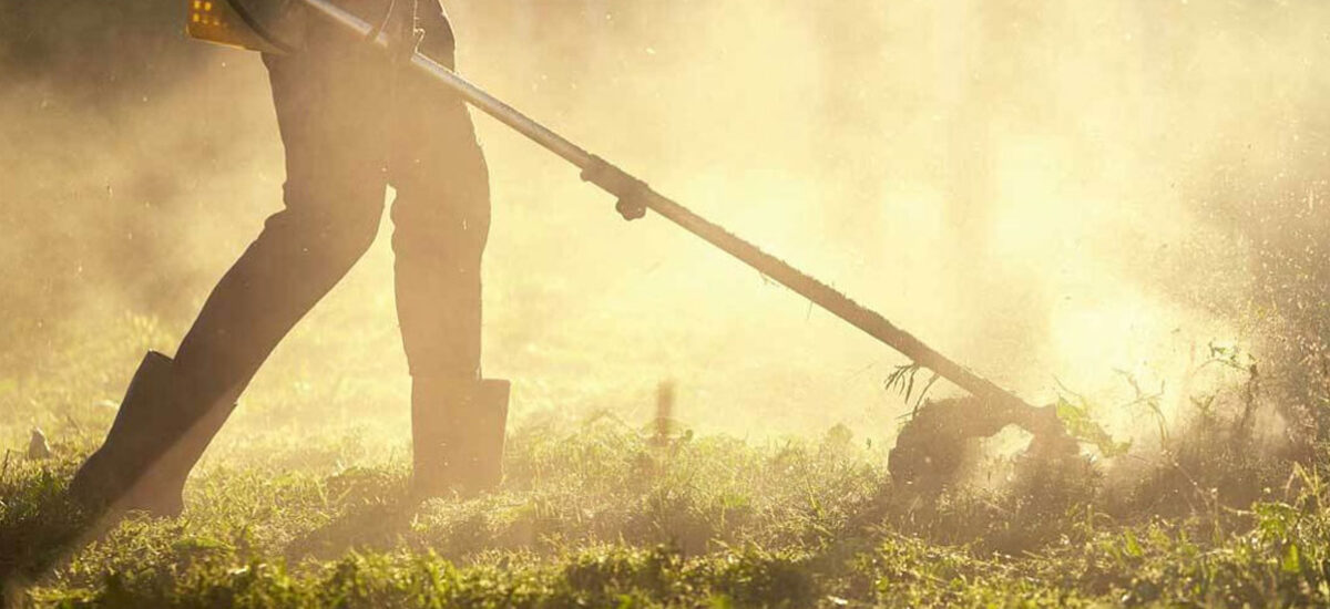 ¿Qué tipos de desbroce de fincas existen?