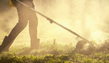 ¿Qué tipos de desbroce de fincas existen?