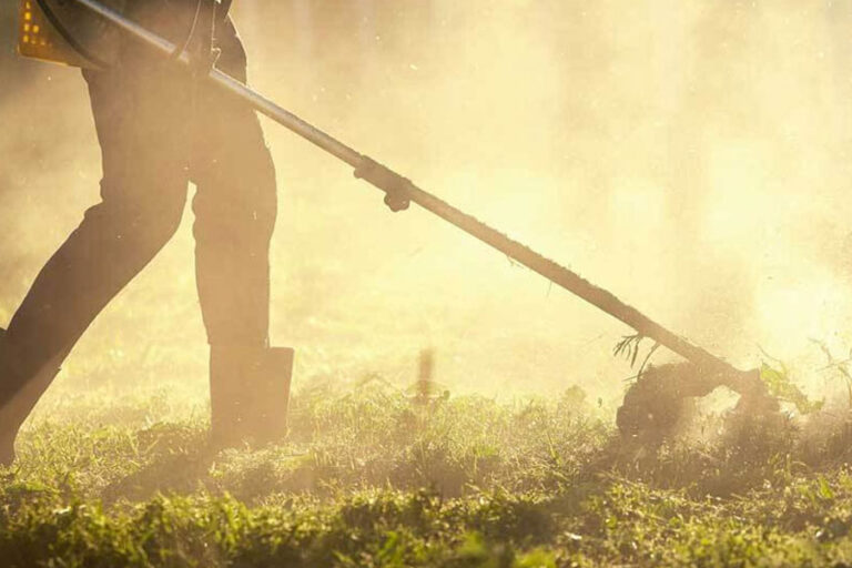 ¿Qué tipos de desbroce de fincas existen?