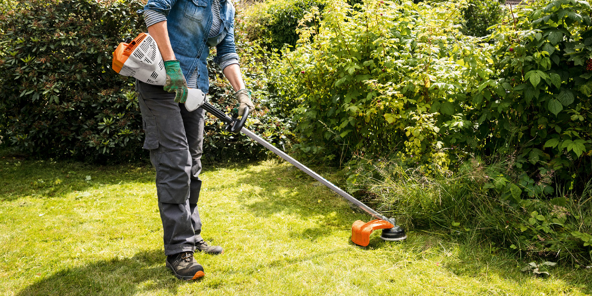 ¿Cómo limpiar un terreno? Tipos de desbroce