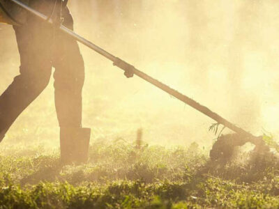 ¿Qué tipos de desbroce de fincas existen?