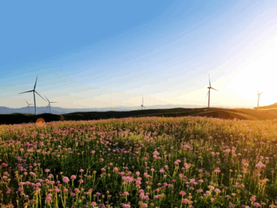 Energía verde en el corazón de Wumeng: Guizhou perfila un nuevo modelo de desarrollo de energías limpias de alta calidad