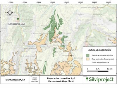 Así será el nuevo bosque de 119 hectáreas en Carrascosa de Abajo (Soria) diseñado con soluciones basadas en la naturaleza