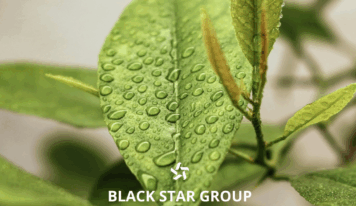 Black Star Group lanza nuevas soluciones para maquinaria agrícola e industrial