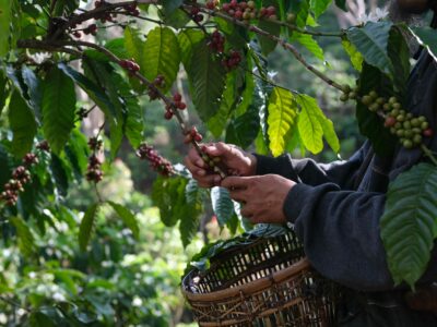 El Marketing Intelligence minimiza la volatilidad de los mercados para las empresas