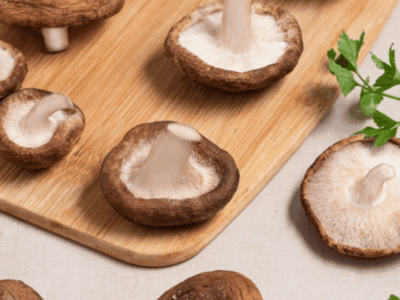 ‘Champiñones y setas europeas’, un ingrediente, infinitas posibilidades