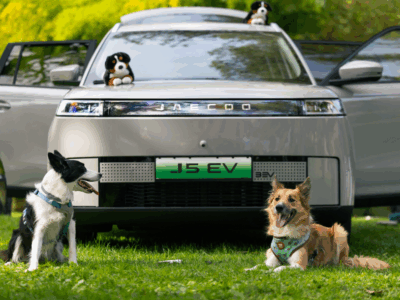 JAECOO presenta cinco consejos para disfrutar con perro en cada viaje