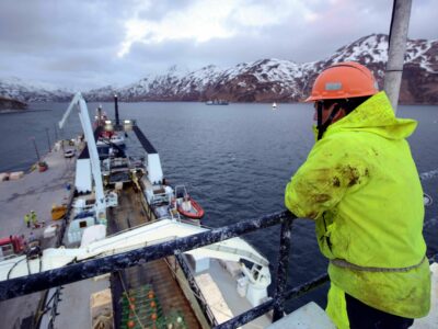 Más del 75% de las capturas mundiales de pescado blanco posee certificado de sostenibilidad