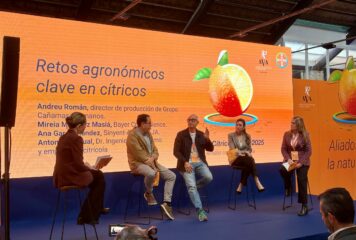 Innovación y sostenibilidad, claves para el futuro de la citricultura ante la amenaza de nuevas plagas