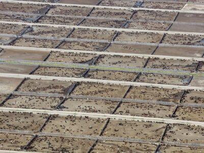 Estudio internacional revela el impacto de la ganadería industrial en las metas climáticas