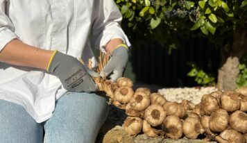 La Abuela Carmen reinventa el trenzado ancestral con su ajo negro