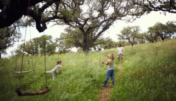 Traditional Dream Factory supera los 1,2 millones de euros y lidera la economía regenerativa en Europa