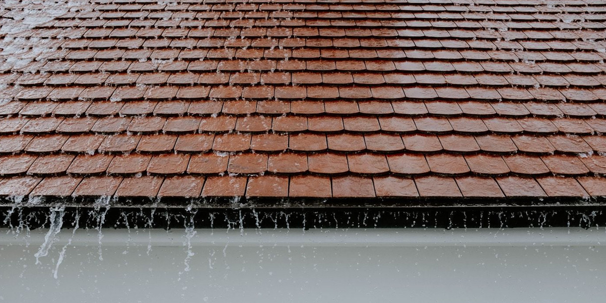 Señal 4: Humedades estructurales y aparición de moho en zonas altas