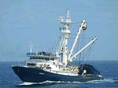 AGAC certifica con MSC el último stock pendiente de atún listado y hace historia en la pesca sostenible mundial