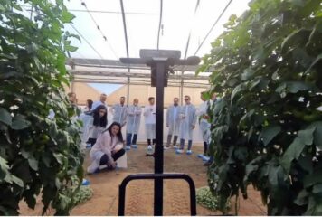 Cajamar Innova Agrotech lanza tres nuevos Retos Tecnológicos para impulsar la innovación en el sector agroalimentario