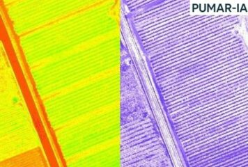 Un novedoso proyecto impulsa la digitalización del ciclo productivo de las manzanas de sidra asturiana y vasca mediante IA y tecnologías de teledetección