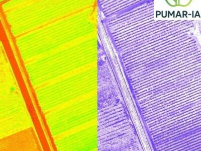 Un novedoso proyecto impulsa la digitalización del ciclo productivo de las manzanas de sidra asturiana y vasca mediante IA y tecnologías de teledetección