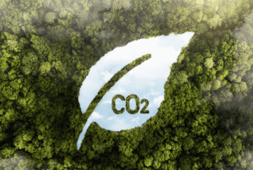 Nueva obligación para grandes empresas: el cálculo de la huella de carbono