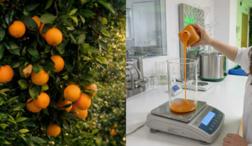 Mak Food Company refuerza su control en origen y consolida acuerdos estratégicos con el campo