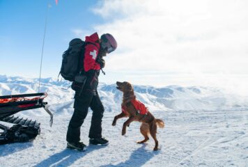 Nulo aterriza en España junto a IskayPet para revolucionar la nutrición premium para mascotas