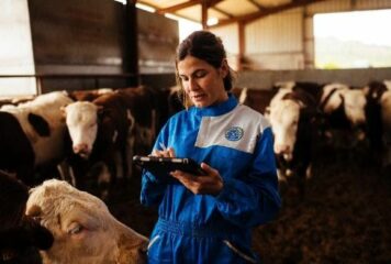 Provacuno lanza una aplicación web para medir la huella de carbono del vacuno de carne en España