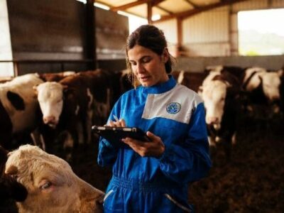 Provacuno lanza una aplicación web para medir la huella de carbono del vacuno de carne en España