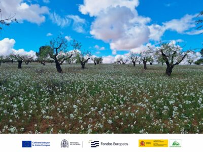 Nace el proyecto ESIL para impulsar la bioeconomía y los servicios ecosistémicos en Castilla-La Mancha