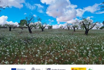 Nace el proyecto ESIL para impulsar la bioeconomía y los servicios ecosistémicos en Castilla-La Mancha