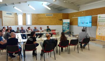 CLIMSOSTRIGO refuerza en el campo la innovación en trigo panificable frente al cambio climático