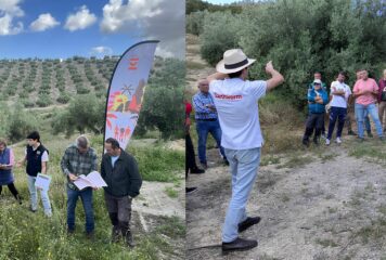 VivaOliva impulsa la agricultura regenerativa en Jaén con la formación de un centenar de agricultores