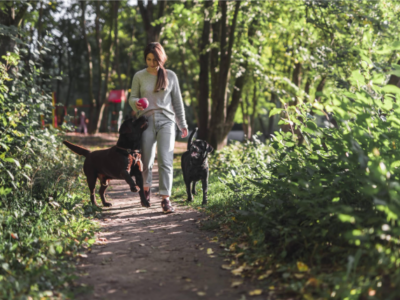 TodoMascota analiza cómo la llegada del buen tiempo transforma las rutinas y cuidados del perro
