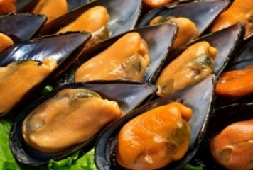 Mariscos del Rey lleva el auténtico sabor del océano a la mesa con una calidad y frescura inigualables